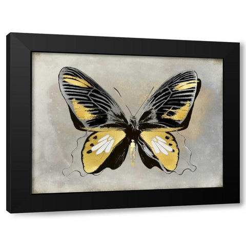 Butterfly Study III Black Modern Wood Framed Art Print with Double Matting by Bosco, Julia