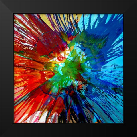 Not Shy IV Black Modern Wood Framed Art Print by Evans, Josh