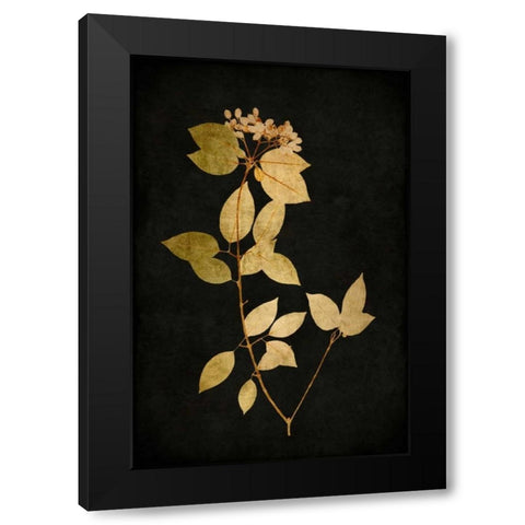 Golden Nature VI Black Modern Wood Framed Art Print by Bennett, Kate