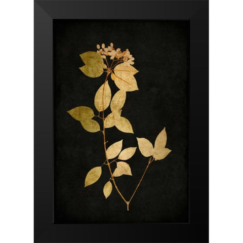 Golden Nature VI Black Modern Wood Framed Art Print by Bennett, Kate