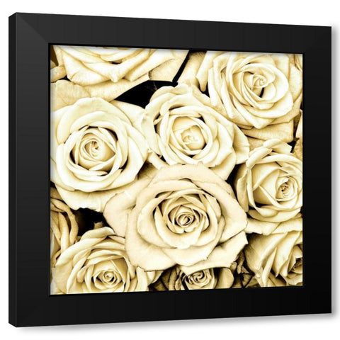 Roses Black Modern Wood Framed Art Print with Double Matting by Bennett, Kate