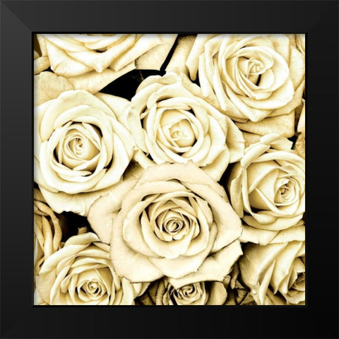 Roses Black Modern Wood Framed Art Print by Bennett, Kate