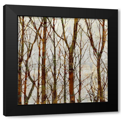 Through The Trees I Black Modern Wood Framed Art Print with Double Matting by Webster, Kyle