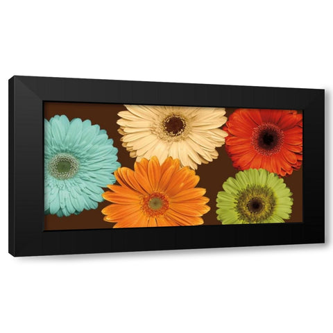 Daisys Friends Black Modern Wood Framed Art Print with Double Matting by Blake, Lindsay