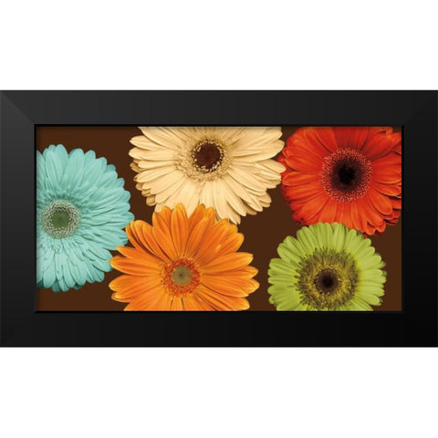 Daisys Friends Black Modern Wood Framed Art Print by Blake, Lindsay