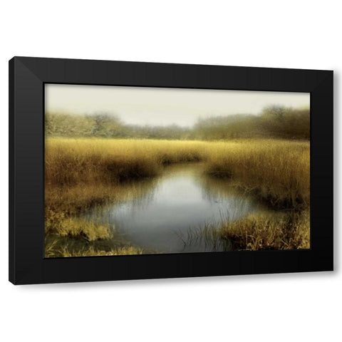 Tranquil Pond Black Modern Wood Framed Art Print with Double Matting by Clark, Madeline