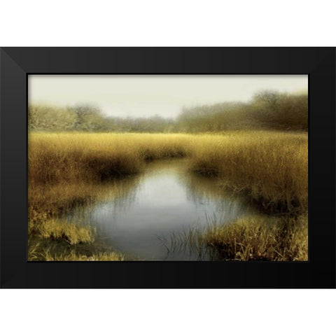 Tranquil Pond Black Modern Wood Framed Art Print by Clark, Madeline
