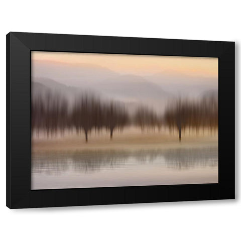 Early Morning I Black Modern Wood Framed Art Print by Clark, Madeline