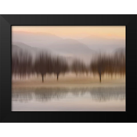 Early Morning I Black Modern Wood Framed Art Print by Clark, Madeline
