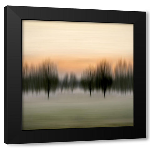 Early Morning VI Black Modern Wood Framed Art Print by Clark, Madeline