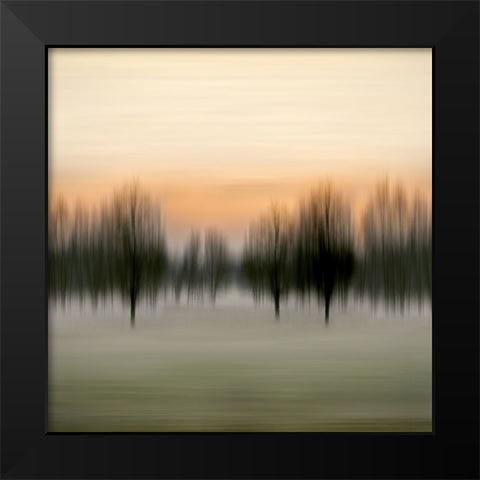 Early Morning VI Black Modern Wood Framed Art Print by Clark, Madeline