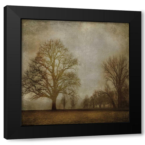 Morning Meditation I Black Modern Wood Framed Art Print with Double Matting by Clark, Madeline