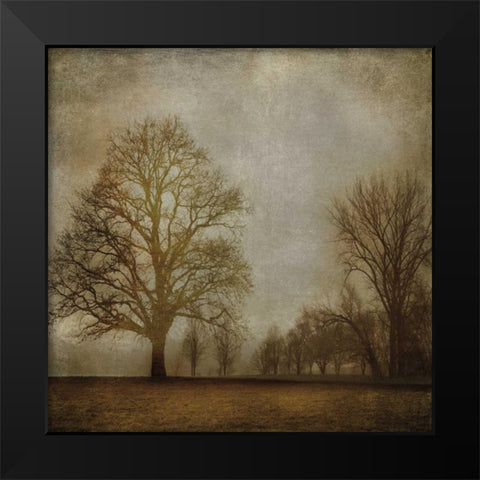 Morning Meditation I Black Modern Wood Framed Art Print by Clark, Madeline