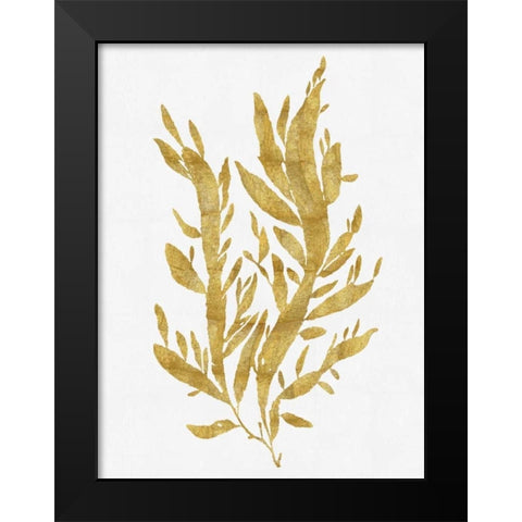 Sea Life - Gold on White IV Black Modern Wood Framed Art Print by Miller, Melonie
