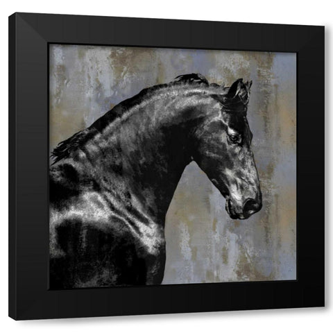 Black Stallion Black Modern Wood Framed Art Print with Double Matting by Rose, Martin