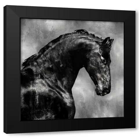 Black Stallion on Silver Black Modern Wood Framed Art Print with Double Matting by Rose, Martin