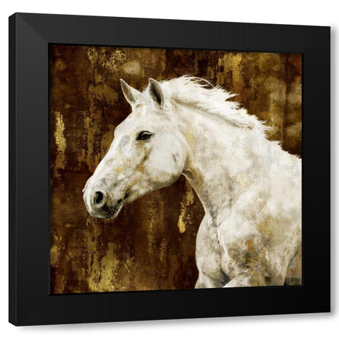 White Stallion Black Modern Wood Framed Art Print with Double Matting by Rose, Martin