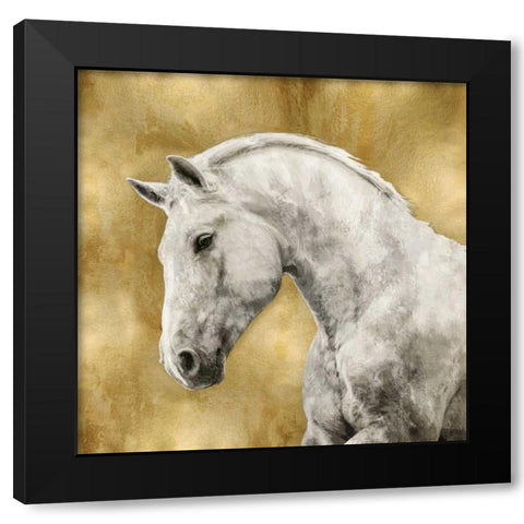 White Stallion on Gold Black Modern Wood Framed Art Print with Double Matting by Rose, Martin