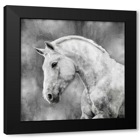 White Stallion on Silver Black Modern Wood Framed Art Print with Double Matting by Rose, Martin