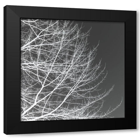 Tree Silhouette III White on Gray Black Modern Wood Framed Art Print by Pollard, David