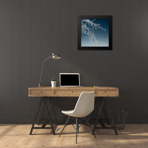 Tree Silhouette I White on Light Blue Black Modern Wood Framed Art Print by Pollard, David