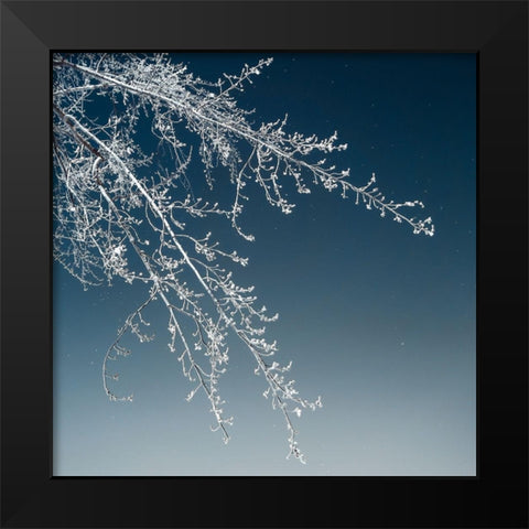Tree Silhouette I White on Light Blue Black Modern Wood Framed Art Print by Pollard, David