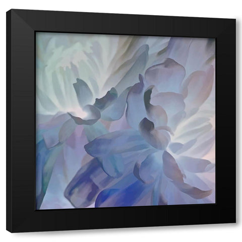 Chrysanthemum V Black Modern Wood Framed Art Print by Pollard, David
