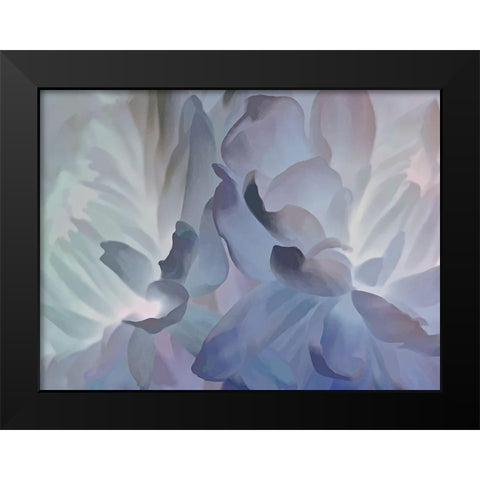 Chrysanthemum VI Black Modern Wood Framed Art Print by Pollard, David