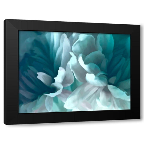 Chrysanthemum XVI Black Modern Wood Framed Art Print by Pollard, David