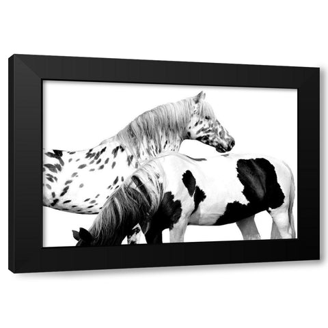 Spotted and Pinto Black Modern Wood Framed Art Print with Double Matting by Carter, Samantha