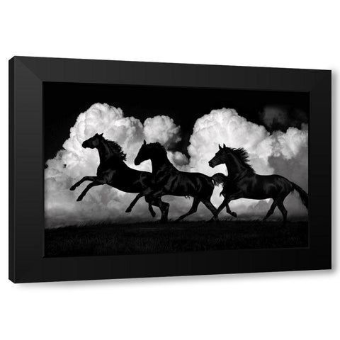 Wild Horses Black Modern Wood Framed Art Print with Double Matting by Carter, Samantha