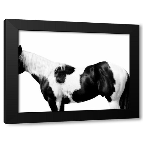 Pinto Black Modern Wood Framed Art Print with Double Matting by Carter, Samantha