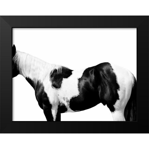 Pinto Black Modern Wood Framed Art Print by Carter, Samantha