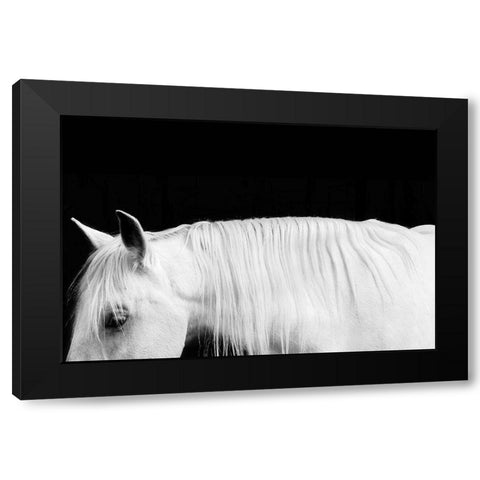 White on Black I Black Modern Wood Framed Art Print with Double Matting by Carter, Samantha