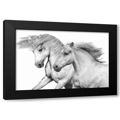 Duo I Black Modern Wood Framed Art Print by Carter, Samantha
