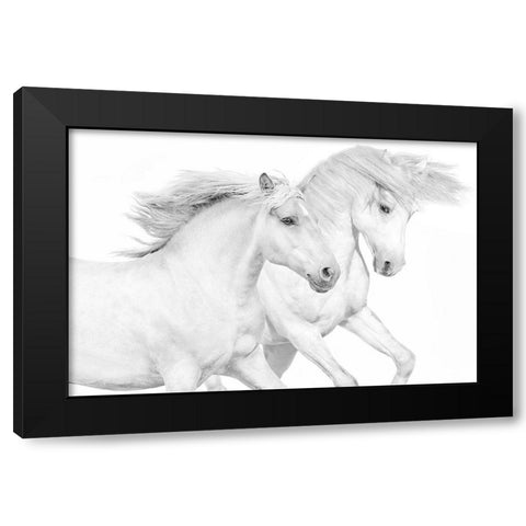 Duo II Black Modern Wood Framed Art Print by Carter, Samantha