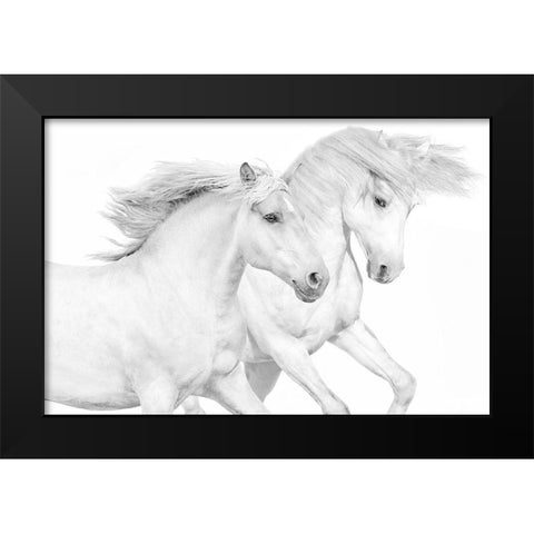 Duo II Black Modern Wood Framed Art Print by Carter, Samantha