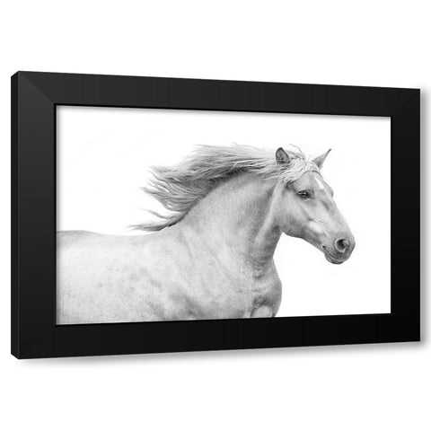Solo I Black Modern Wood Framed Art Print by Carter, Samantha