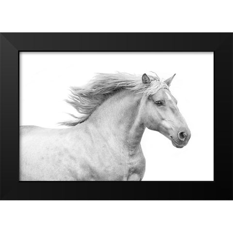 Solo I Black Modern Wood Framed Art Print by Carter, Samantha