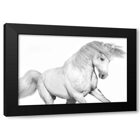 Solo II Black Modern Wood Framed Art Print by Carter, Samantha