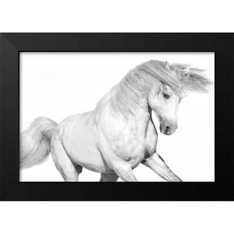 Solo II Black Modern Wood Framed Art Print by Carter, Samantha