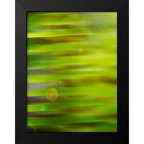 Abstract green flora Black Modern Wood Framed Art Print by Plank, Savanah