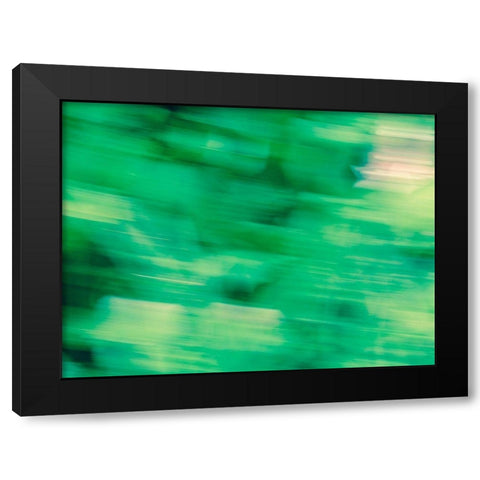 Flora Motion Black Modern Wood Framed Art Print with Double Matting by Plank, Savanah