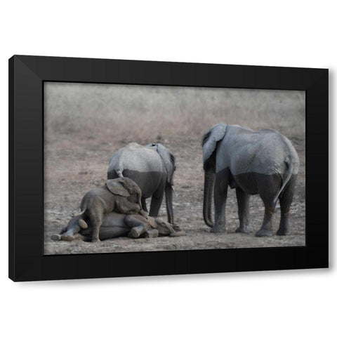 Brothers at Play Black Modern Wood Framed Art Print by Bennion, Scott