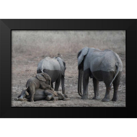 Brothers at Play Black Modern Wood Framed Art Print by Bennion, Scott