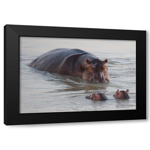 Class is in Session Black Modern Wood Framed Art Print with Double Matting by Bennion, Scott