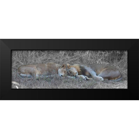 Lovers Black Modern Wood Framed Art Print by Bennion, Scott