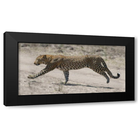 On The Run Black Modern Wood Framed Art Print by Bennion, Scott