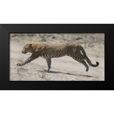On The Run Black Modern Wood Framed Art Print by Bennion, Scott
