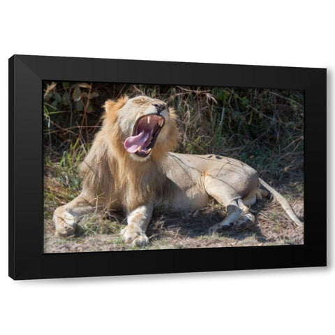 Speechless Black Modern Wood Framed Art Print by Bennion, Scott